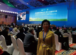 图片(11).png